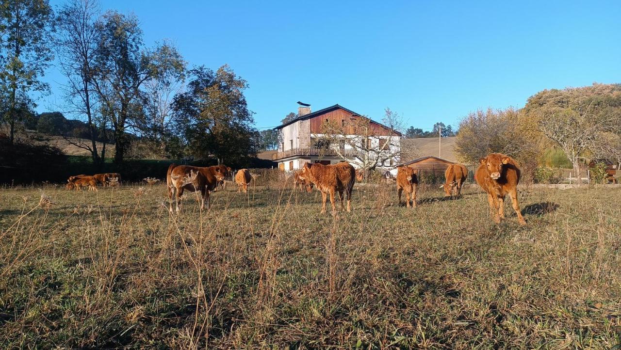 مبيت وإفطار Le Jardin De Moulis, Saint Girons, Ariege, Pyrenees, المظهر الخارجي الصورة